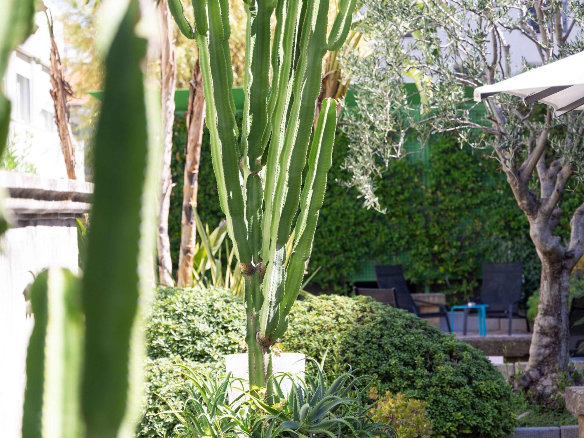 Mercure Nice Centre Notre Dame Екстериор снимка